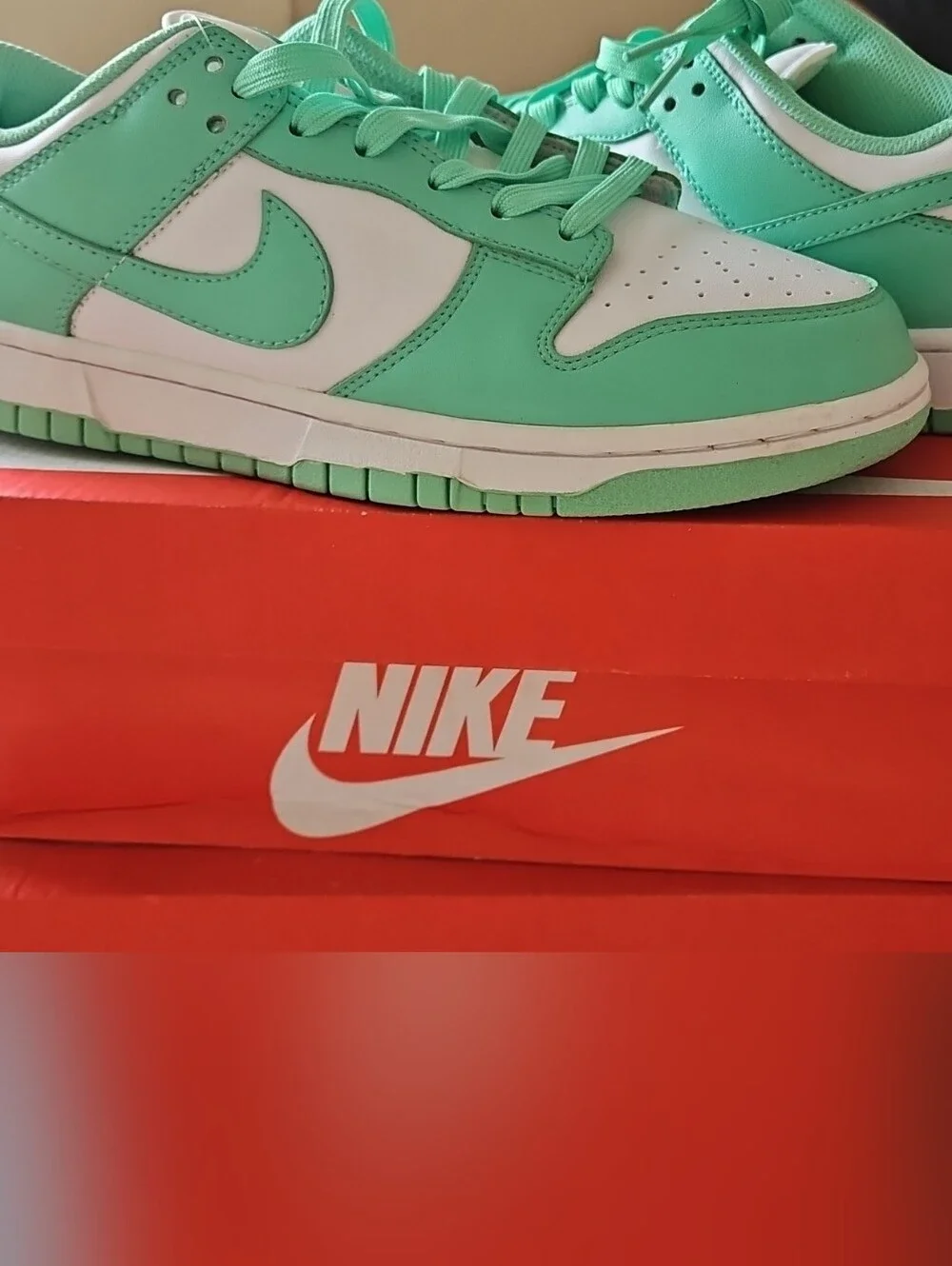 Nike  Mint Green and White Low-Top Sneakers